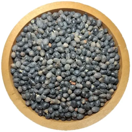 نخل اره ای