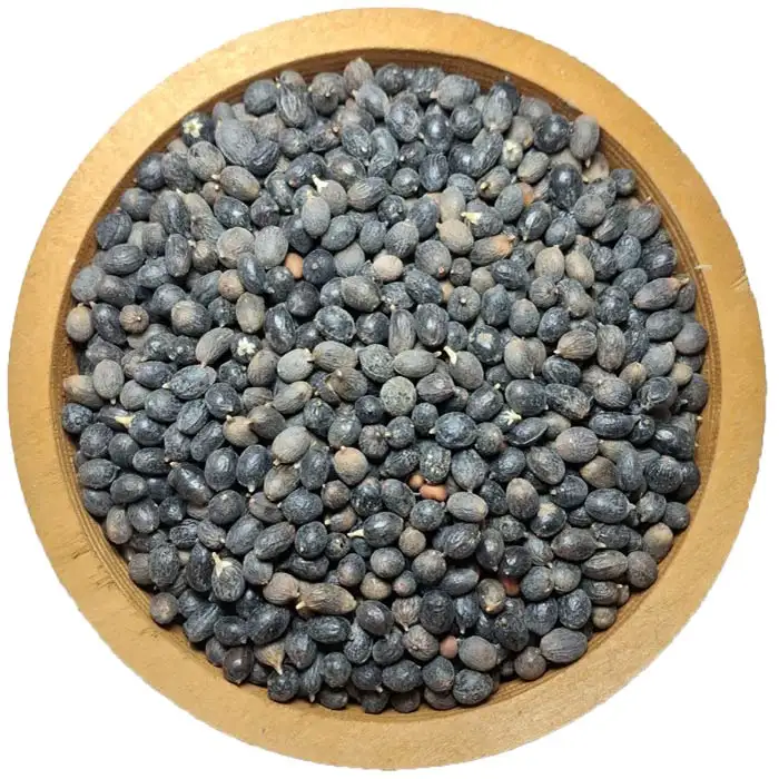 نخل اره ای نخل اره ای